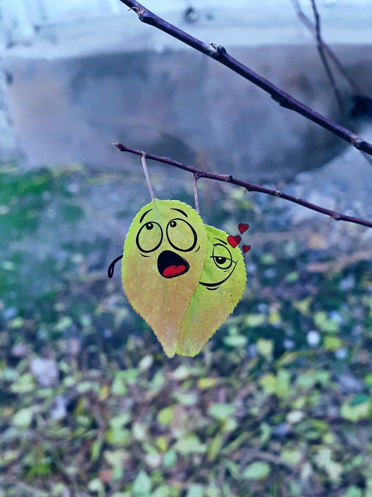 Усталость от любви