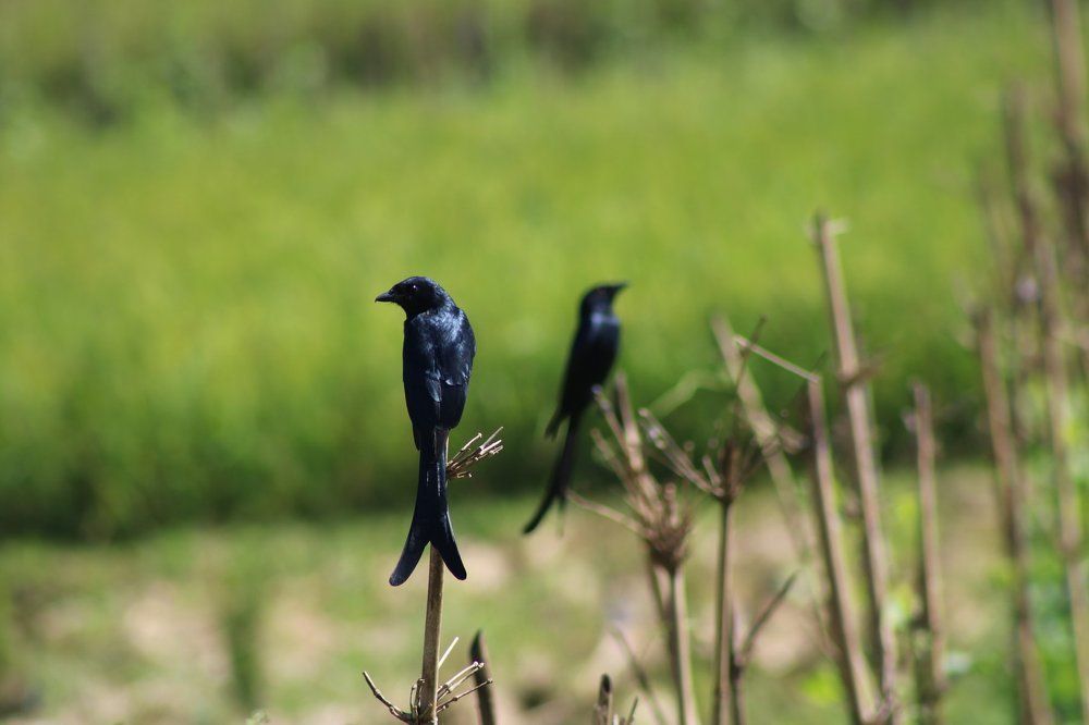 Wonderful nature.