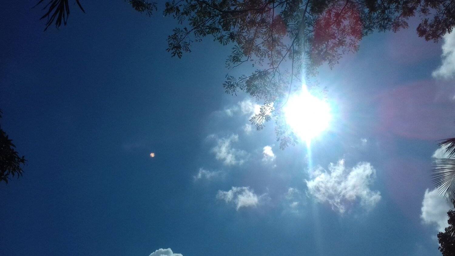 Sun in the sky