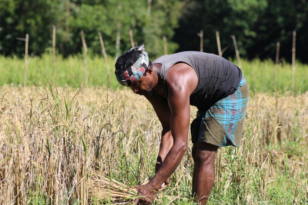 Farmer photo.