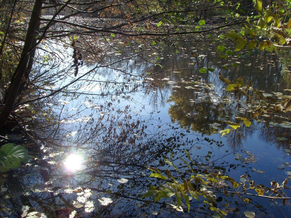 Осенняя настольгия