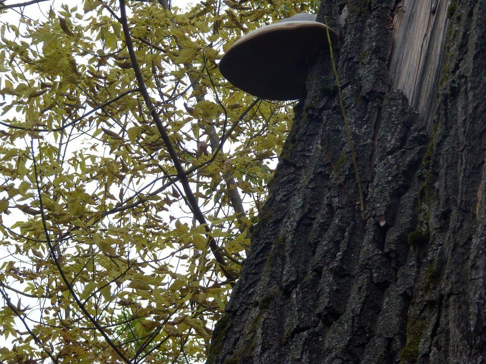 Photograph by Марина