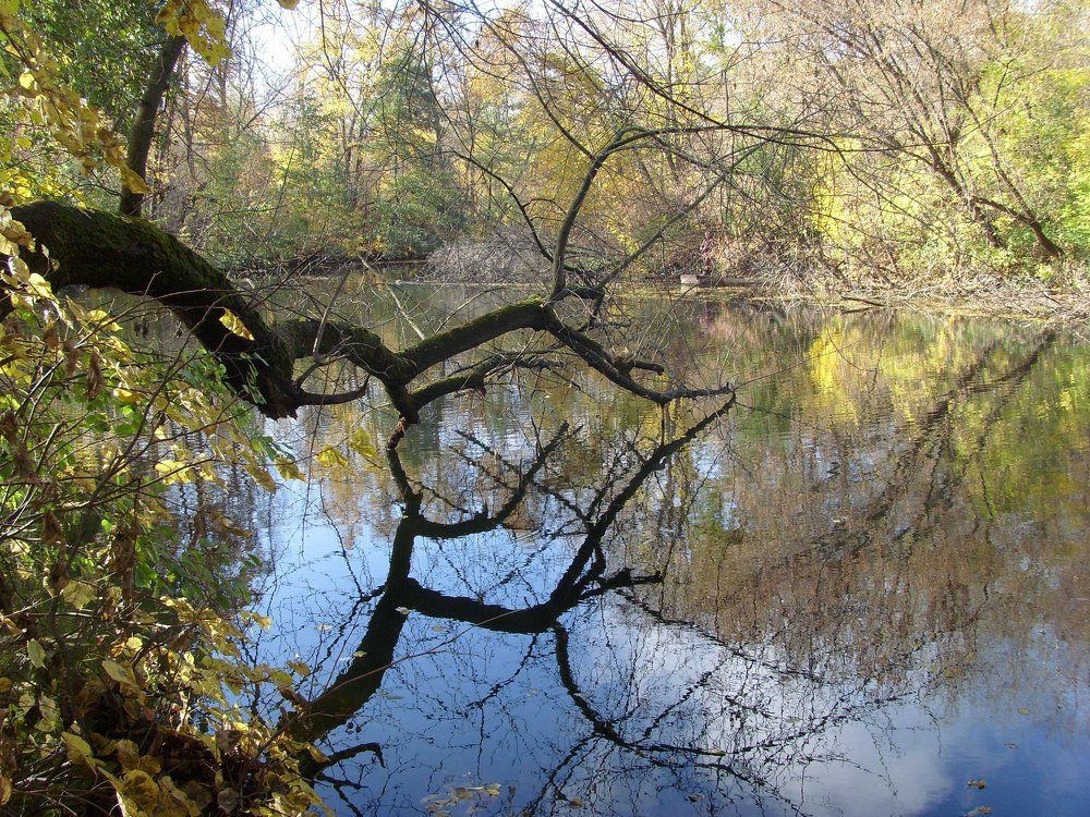 Photograph by Марина