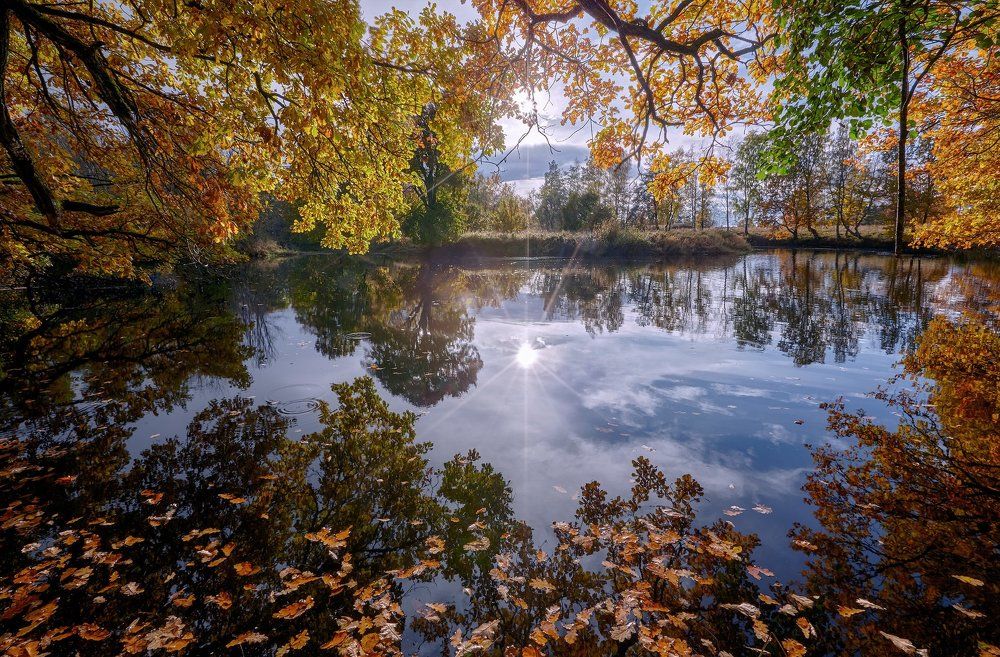 осеннее обрамление