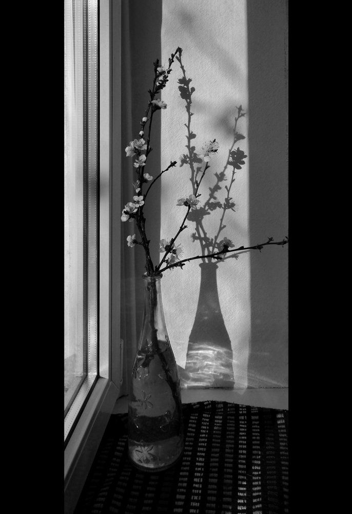 свет и тень