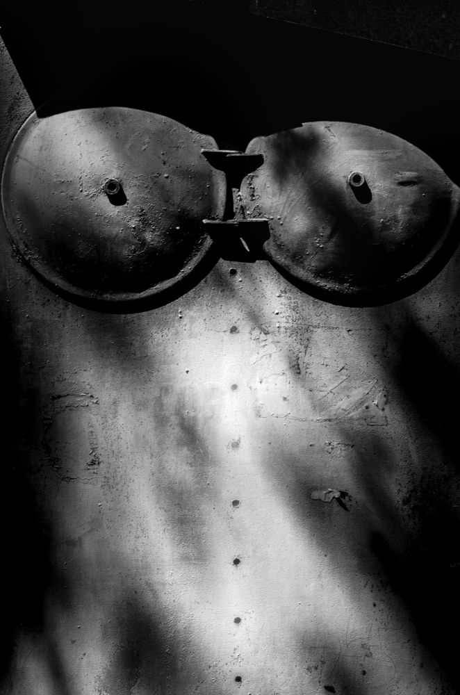 Жена железного дровосека