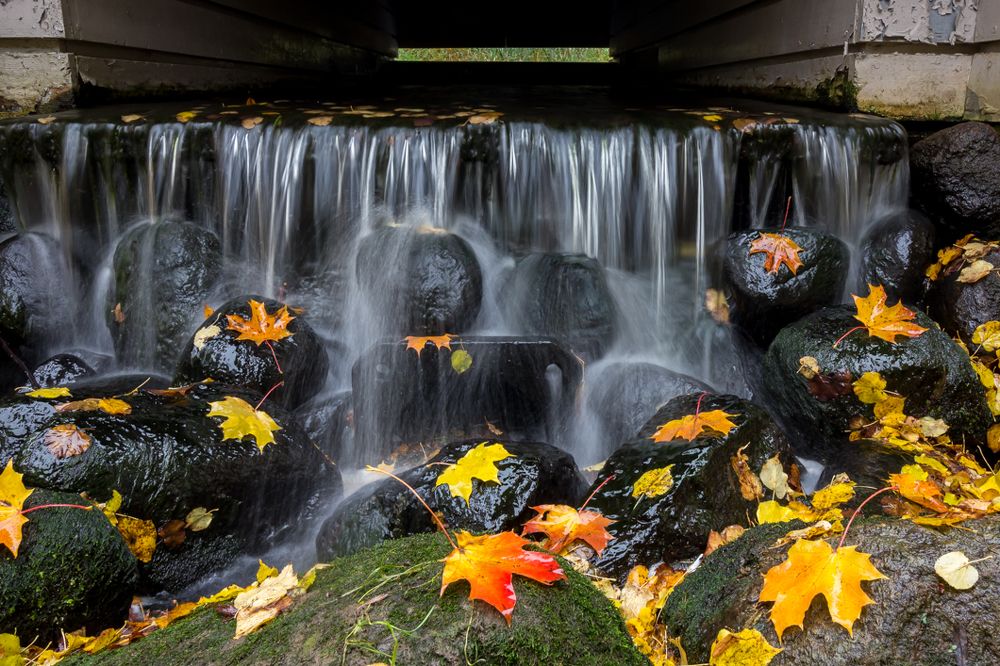 У Фермерского Дворца