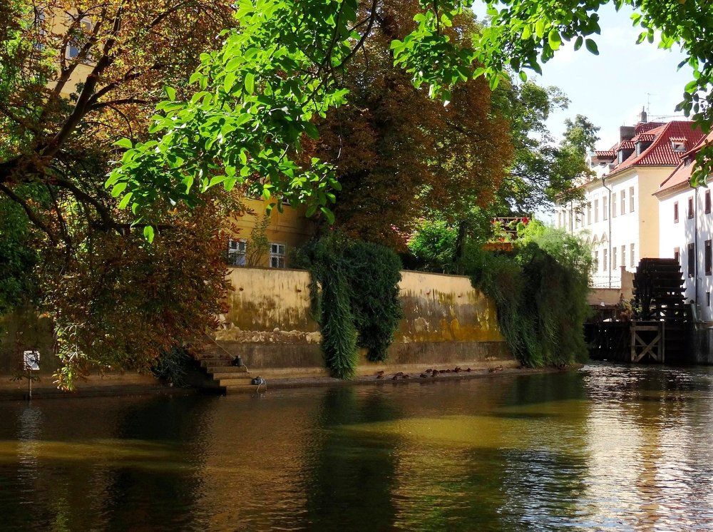 Photograph by Марина Раткун