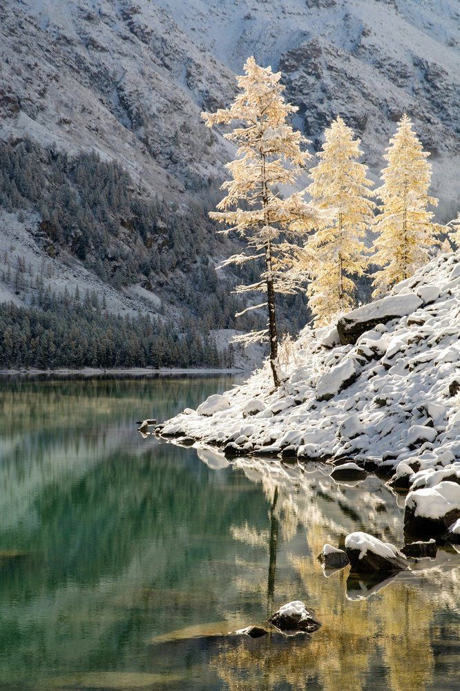 золото и серебро