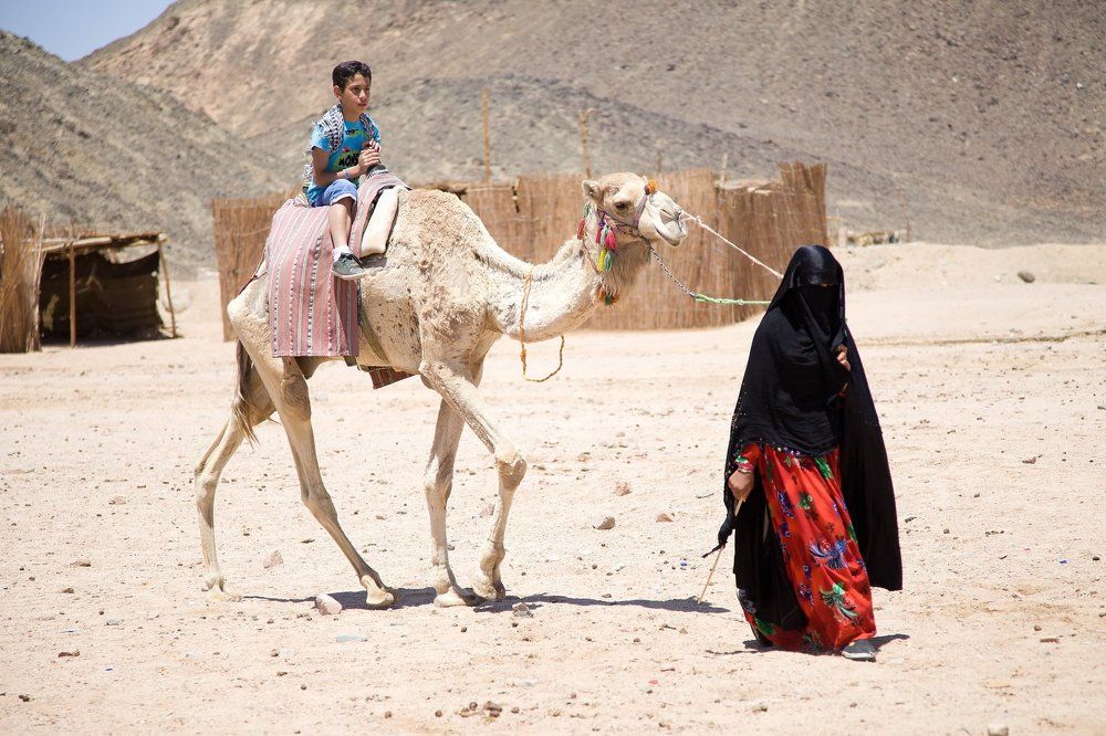 Пустыня в Египте