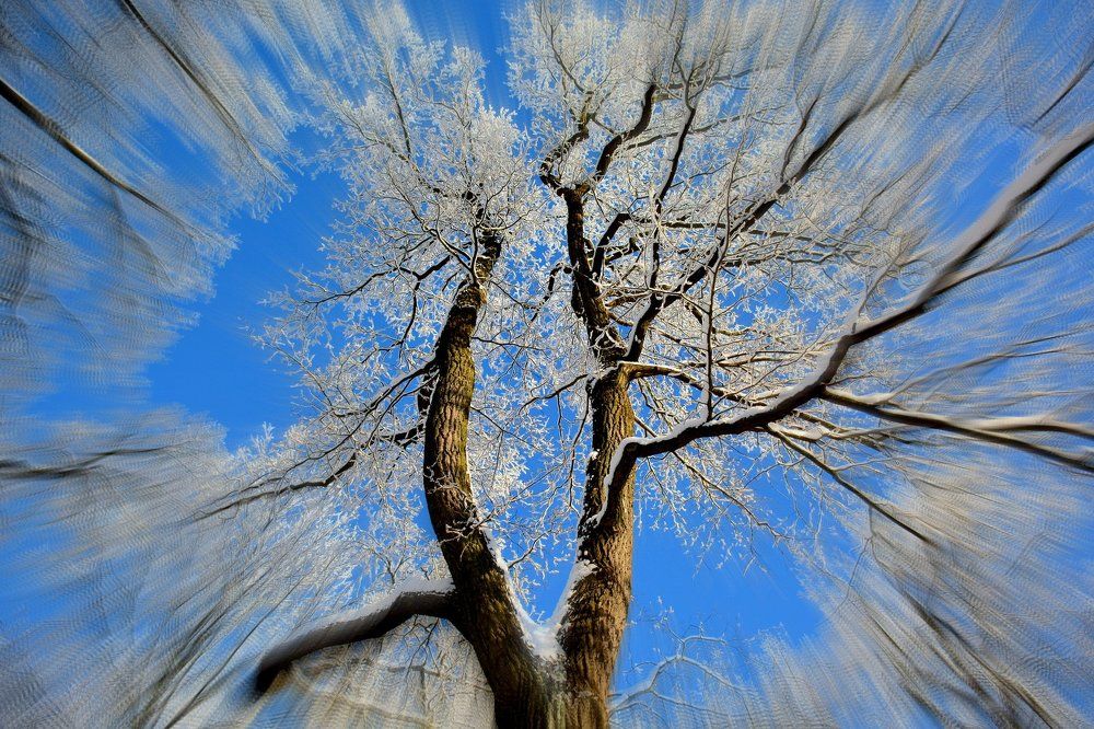 Photograph by Ирина