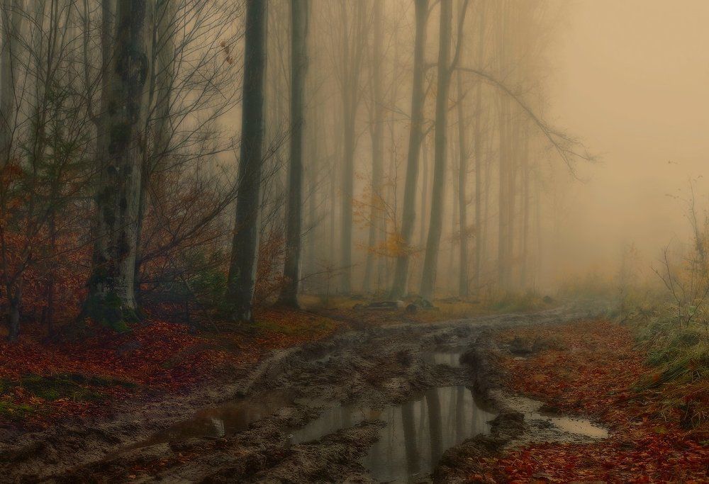 Ноябрьские сумраки