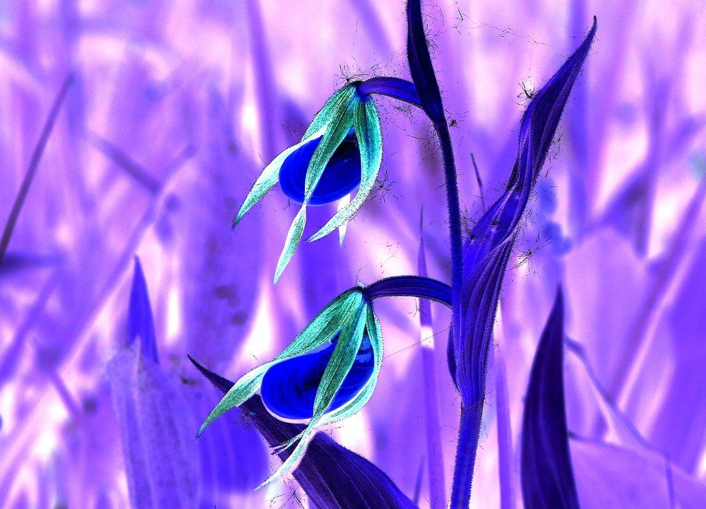 Photograph by Ирина