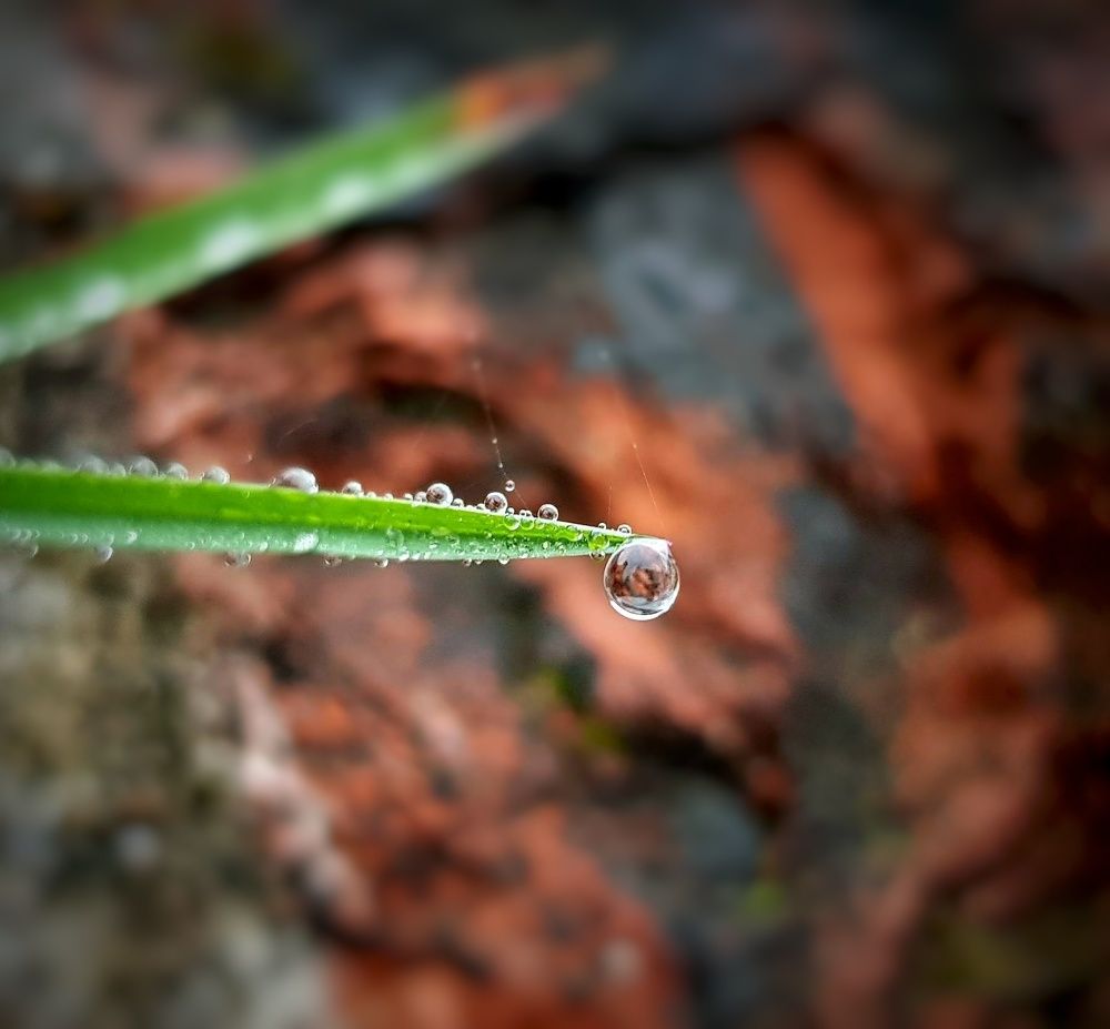 На самом краю