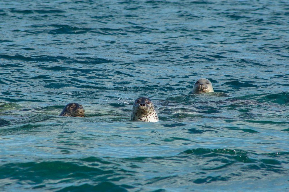 Photograph by Валентин Кольцов