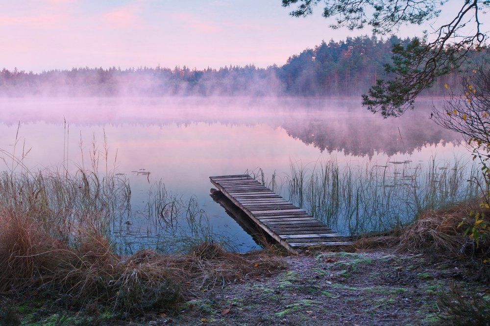 Встречая рассвет (Peep of morning)