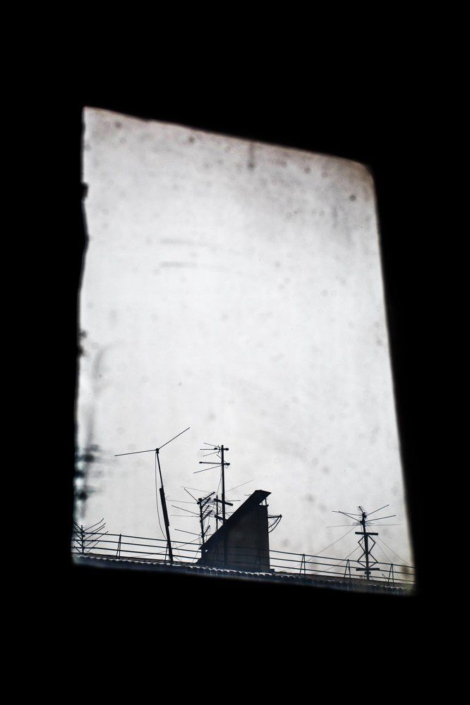 Корабли в моей гавани...