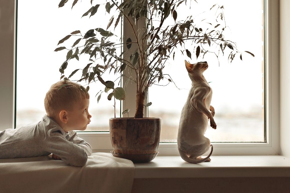 Photograph by Валерия