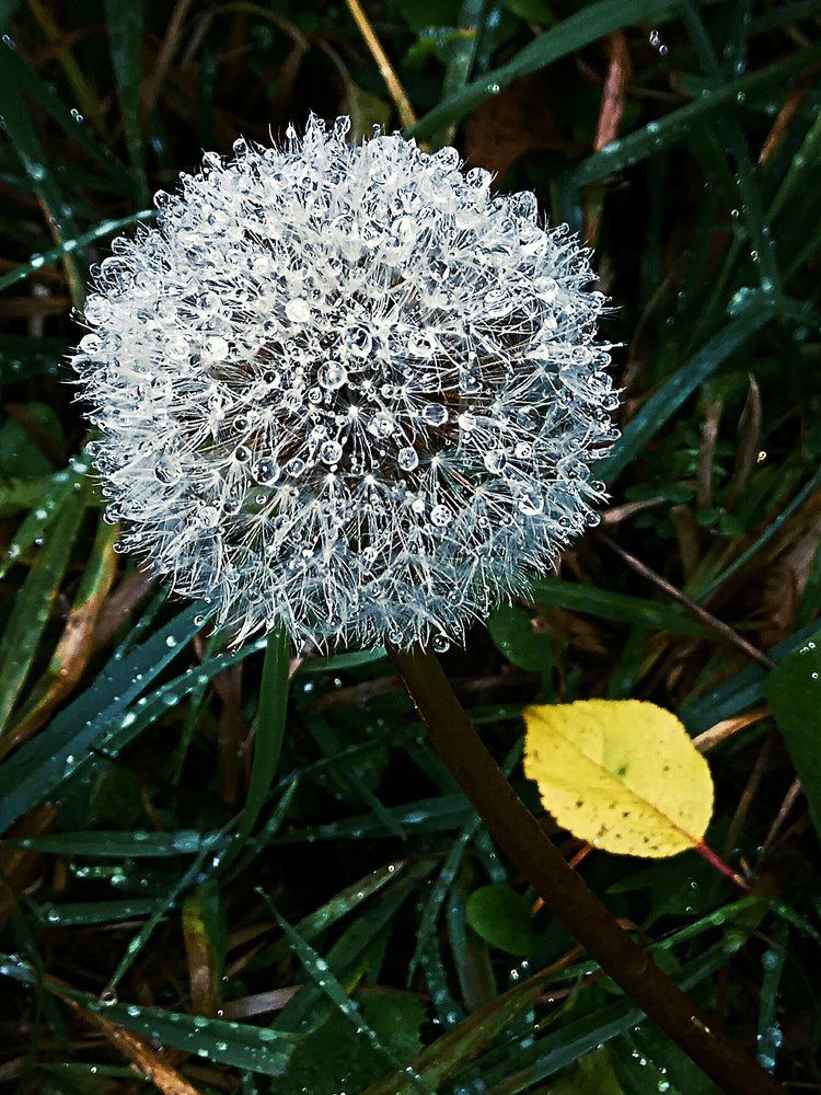 Фото: 3 сезона