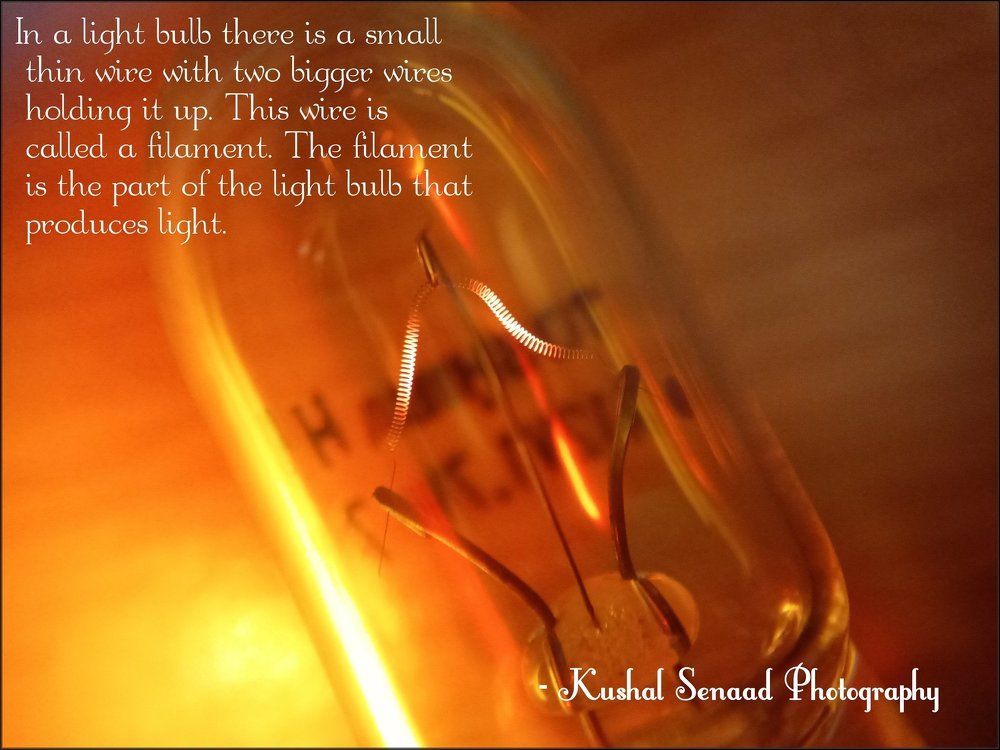 light bulb