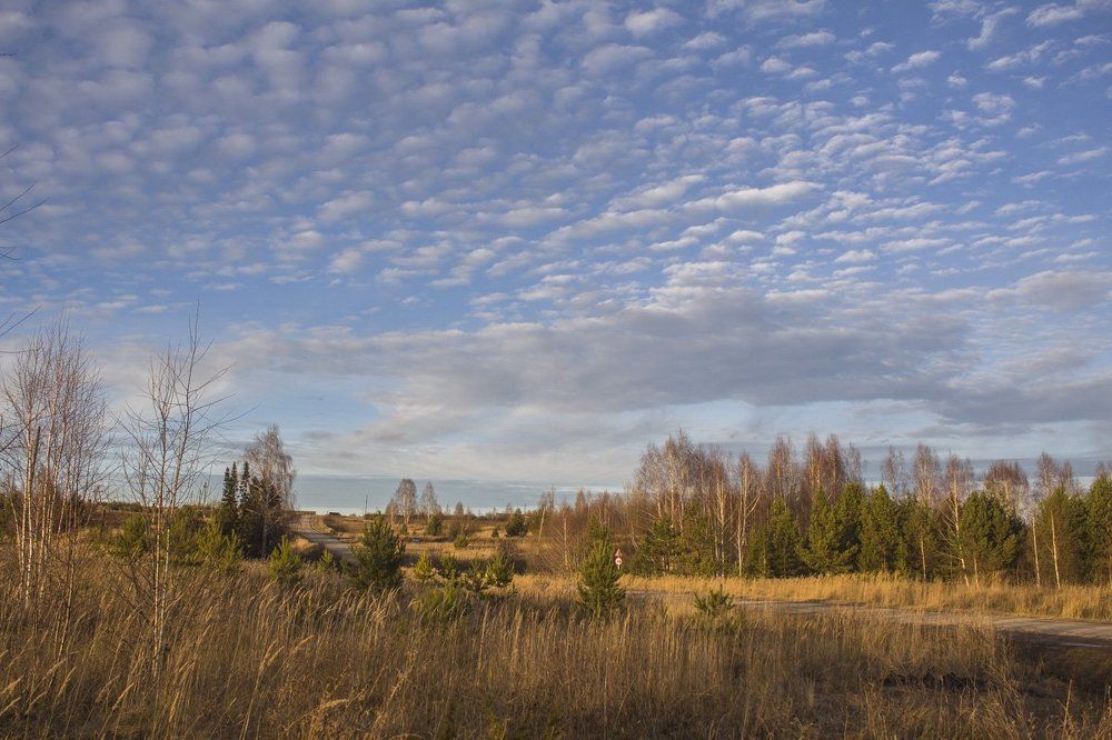 Бродит осень за околицей...
