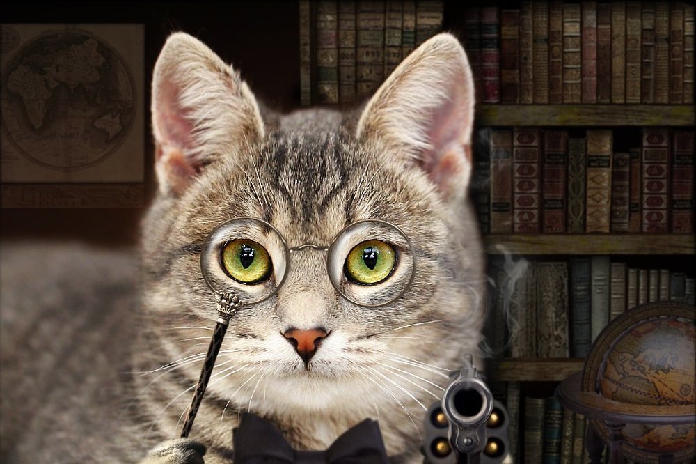 Тихо! Это библиотека...