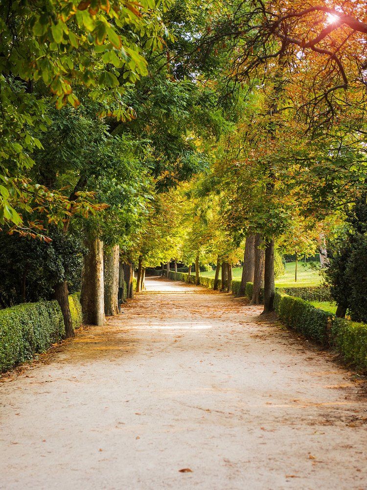 Осенняя улочка