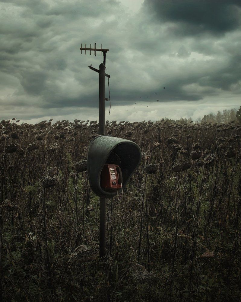 Photograph by Жукова Галина