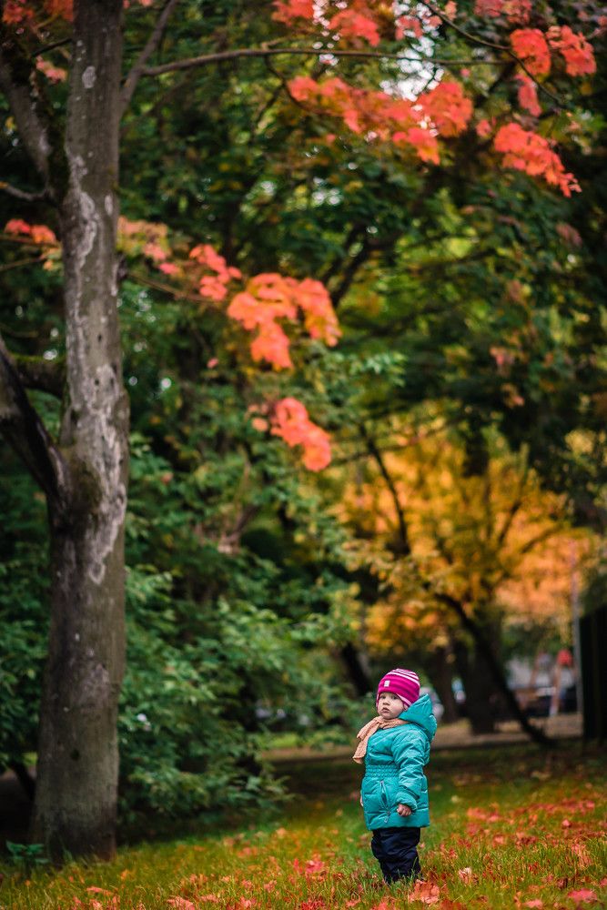 Осеннее настроение Сони