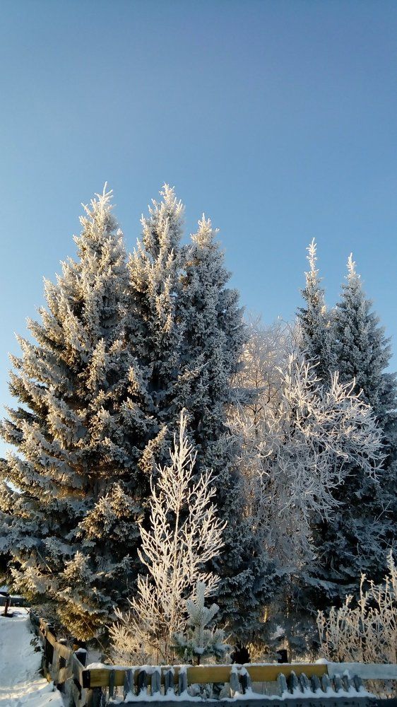 Photograph by Евгения Вильцан