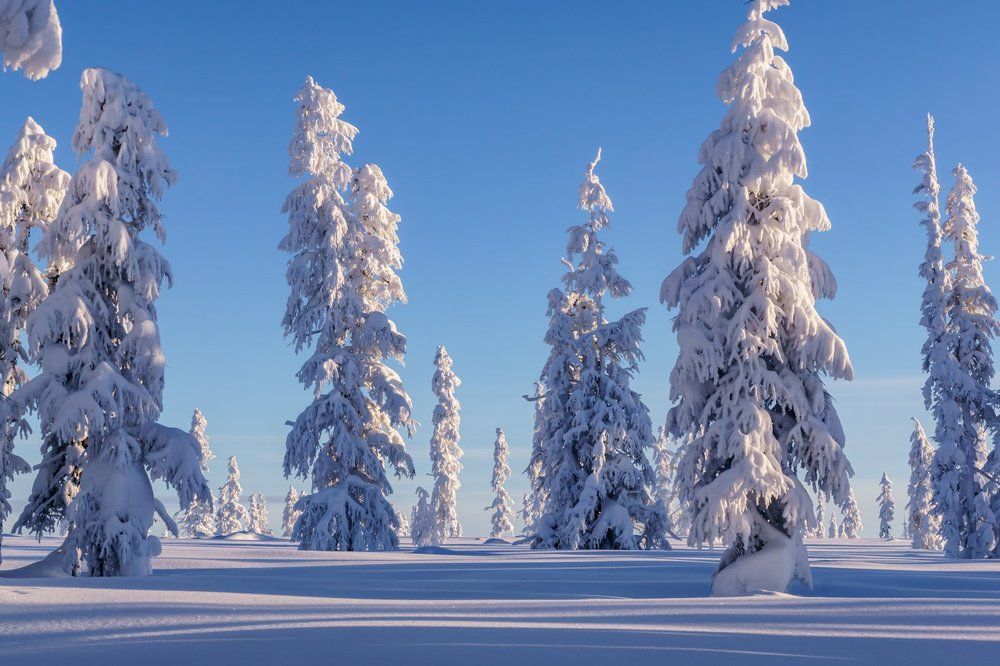И в зимнем сне застыли великаны...