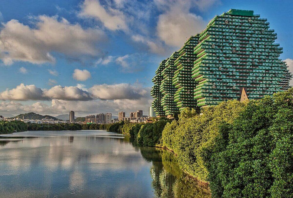 Городские джунгли