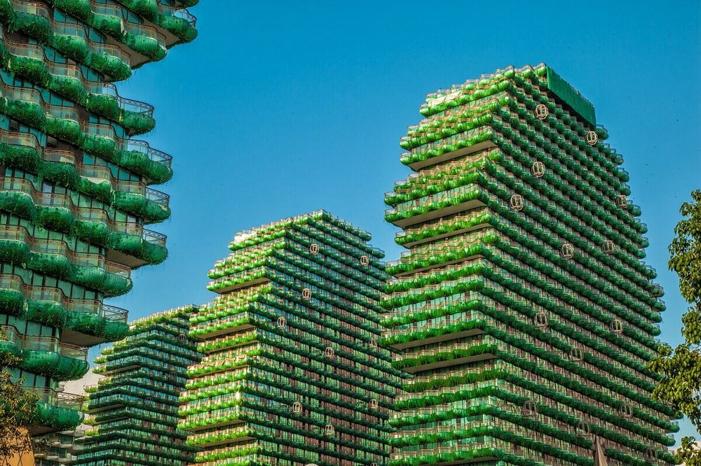 Городские джунгли