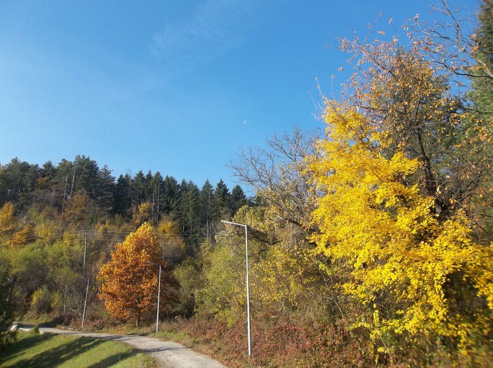 Есенни цветове