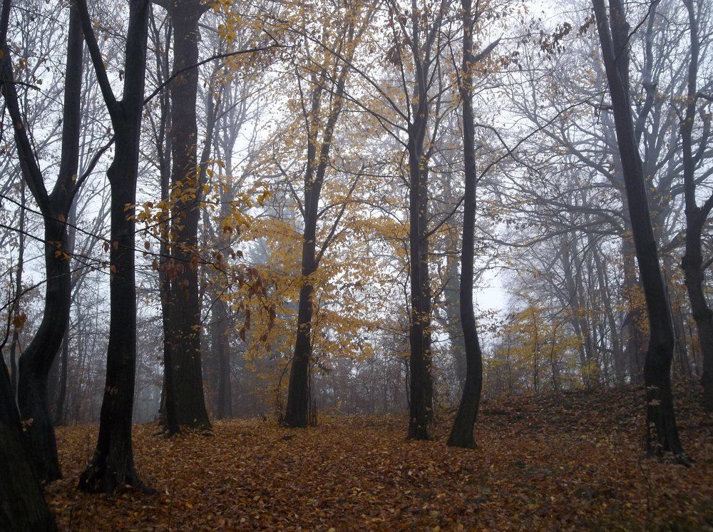 Между два сезона