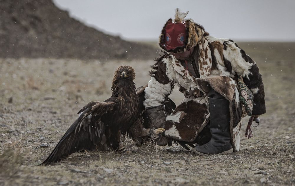 Дай,Джим,на счастье лапу мне!