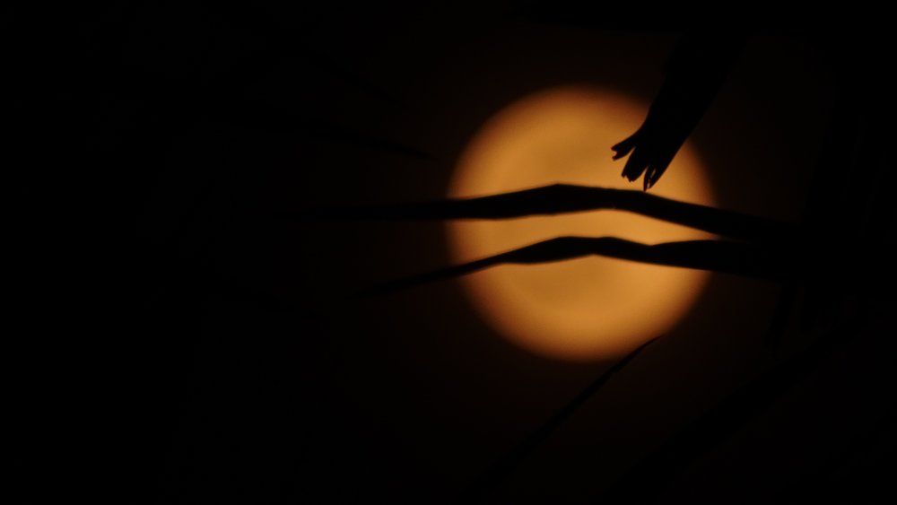 The moon