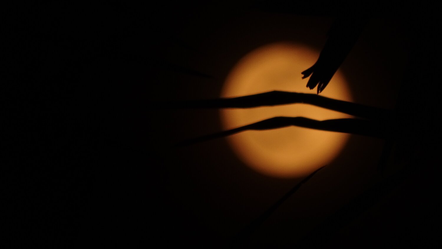 The moon