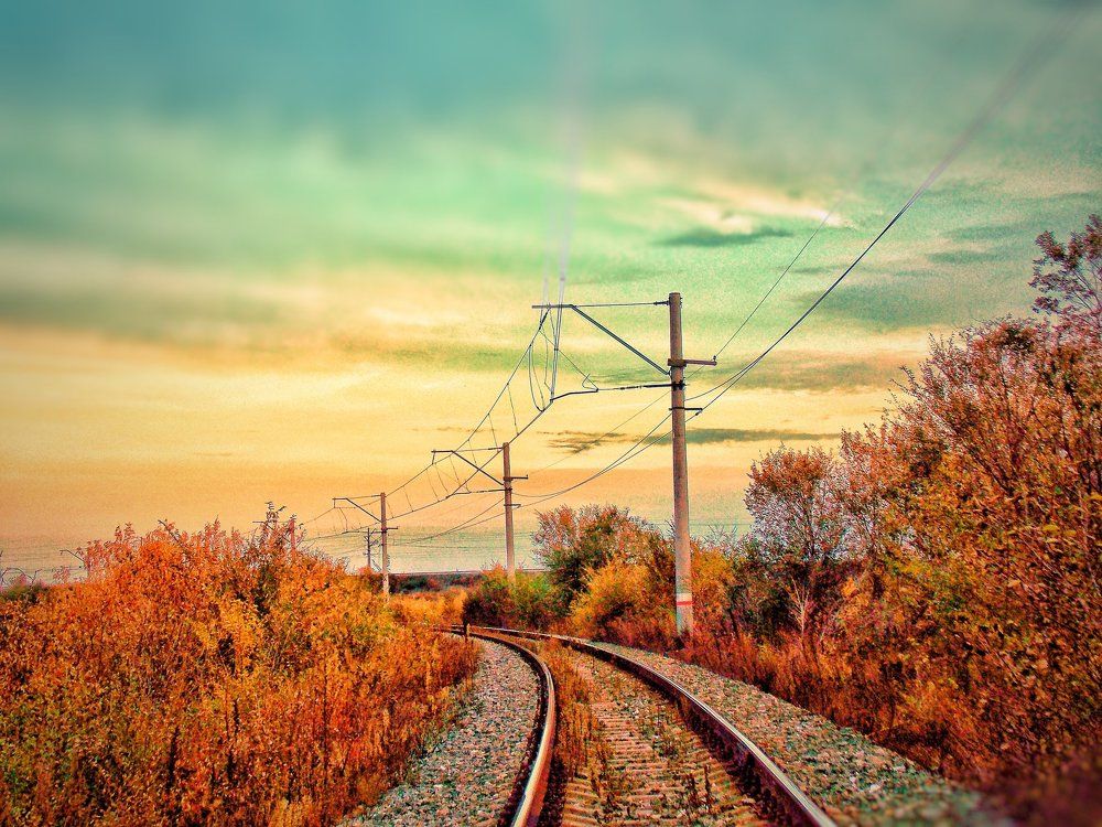 Дорога в осень