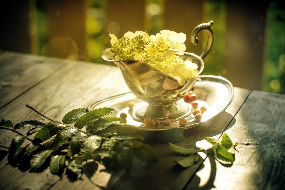 Photograph by Andrey Rut