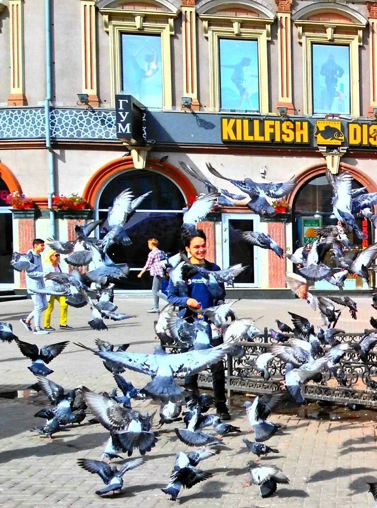 Птички