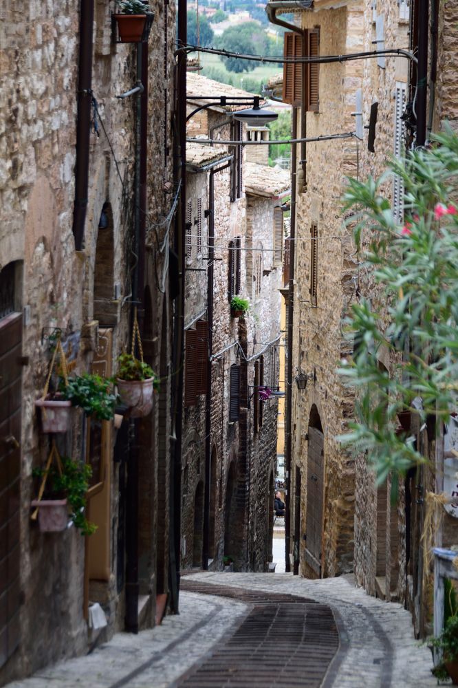 Фотография автора Андрей Симонов