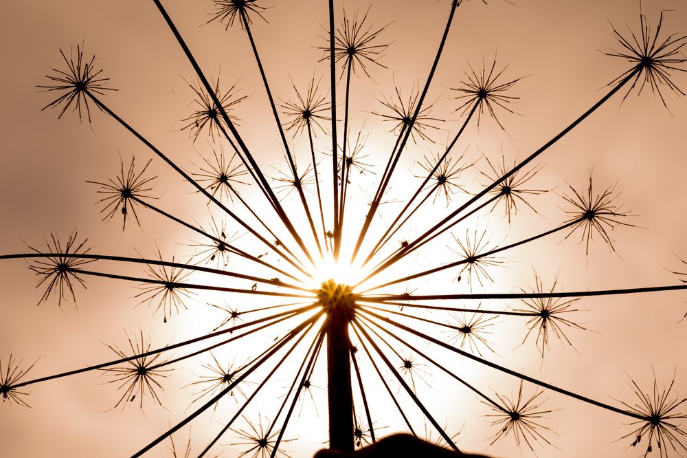 Осенний фейерверк