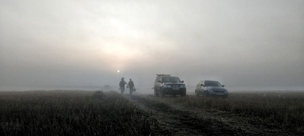 Таманская туманность