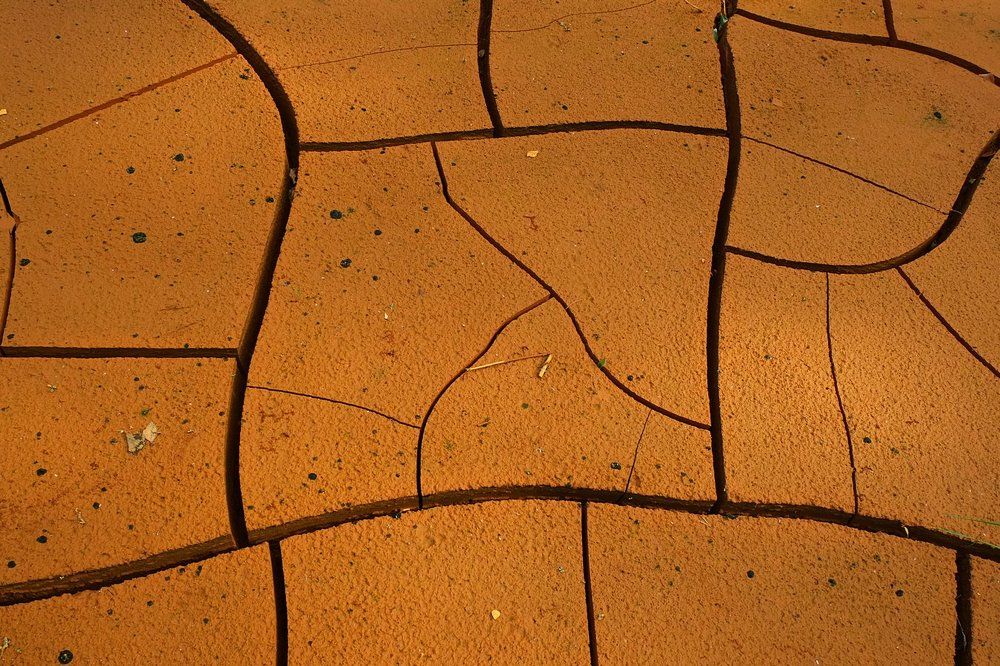 Photograph by Андрей