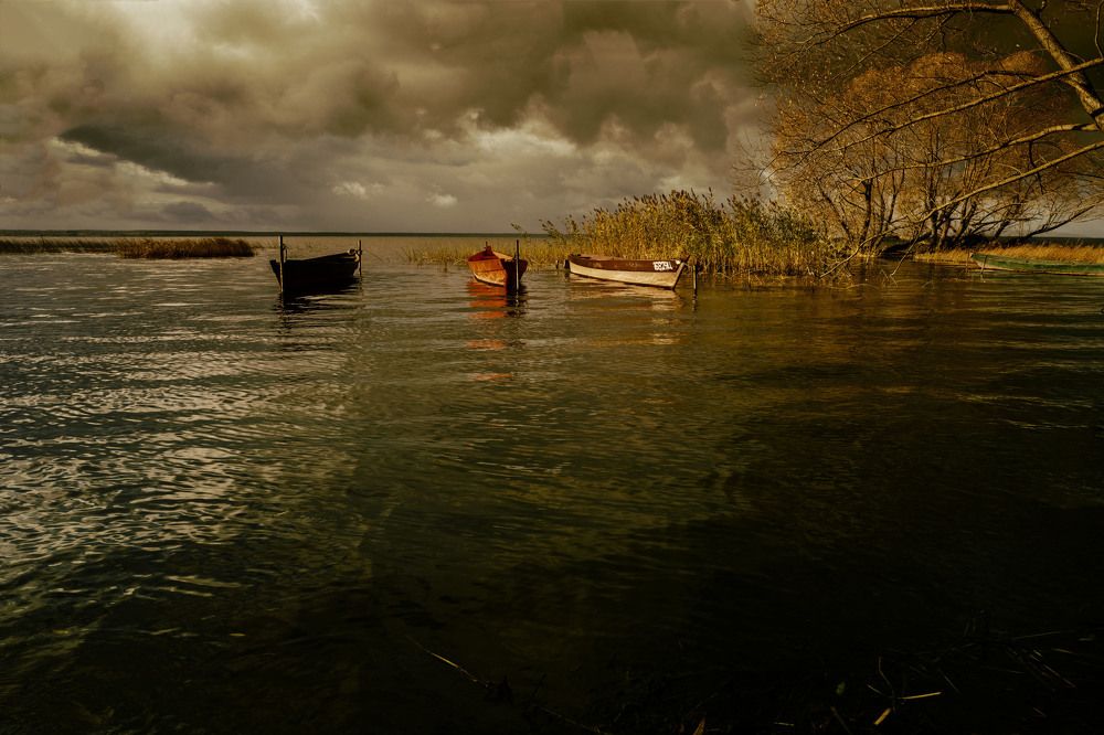 швартуем осень