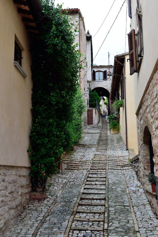 Фотография автора Андрей Симонов