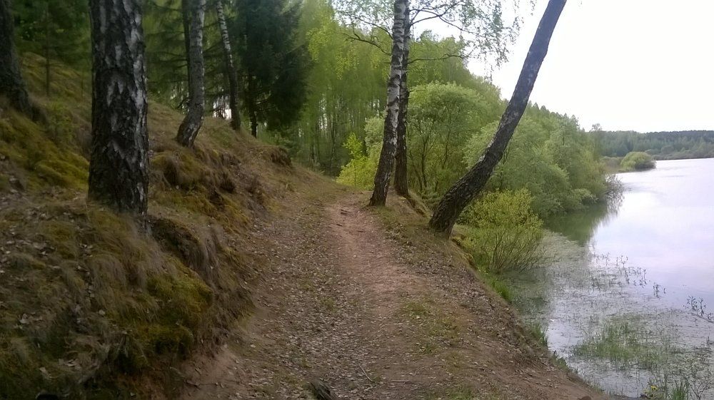 Природа Беларуси