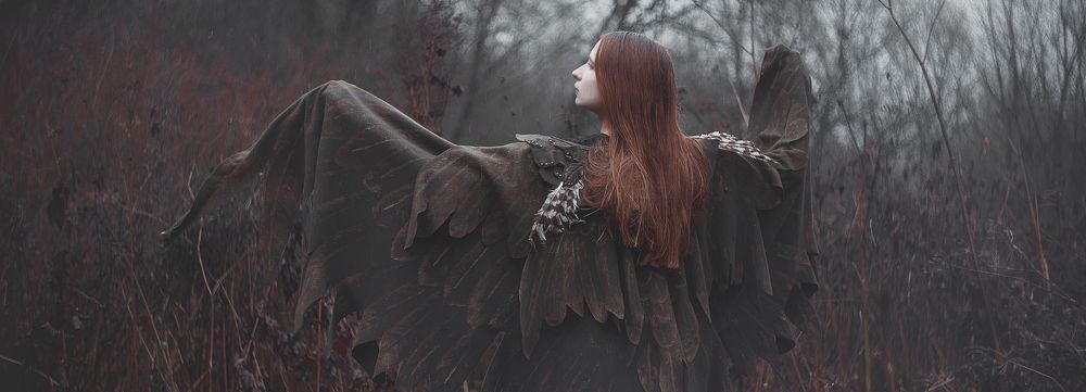 Крылья осени (Wings of autumn)