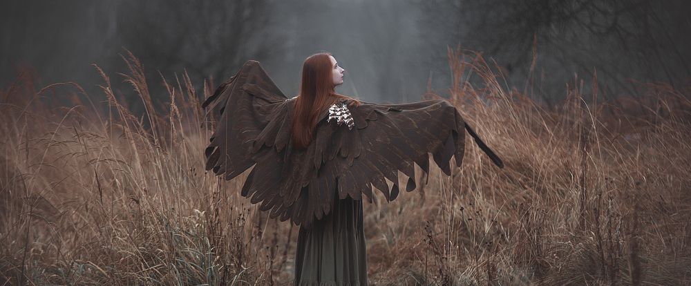 Крылья осени (Wings of autumn)